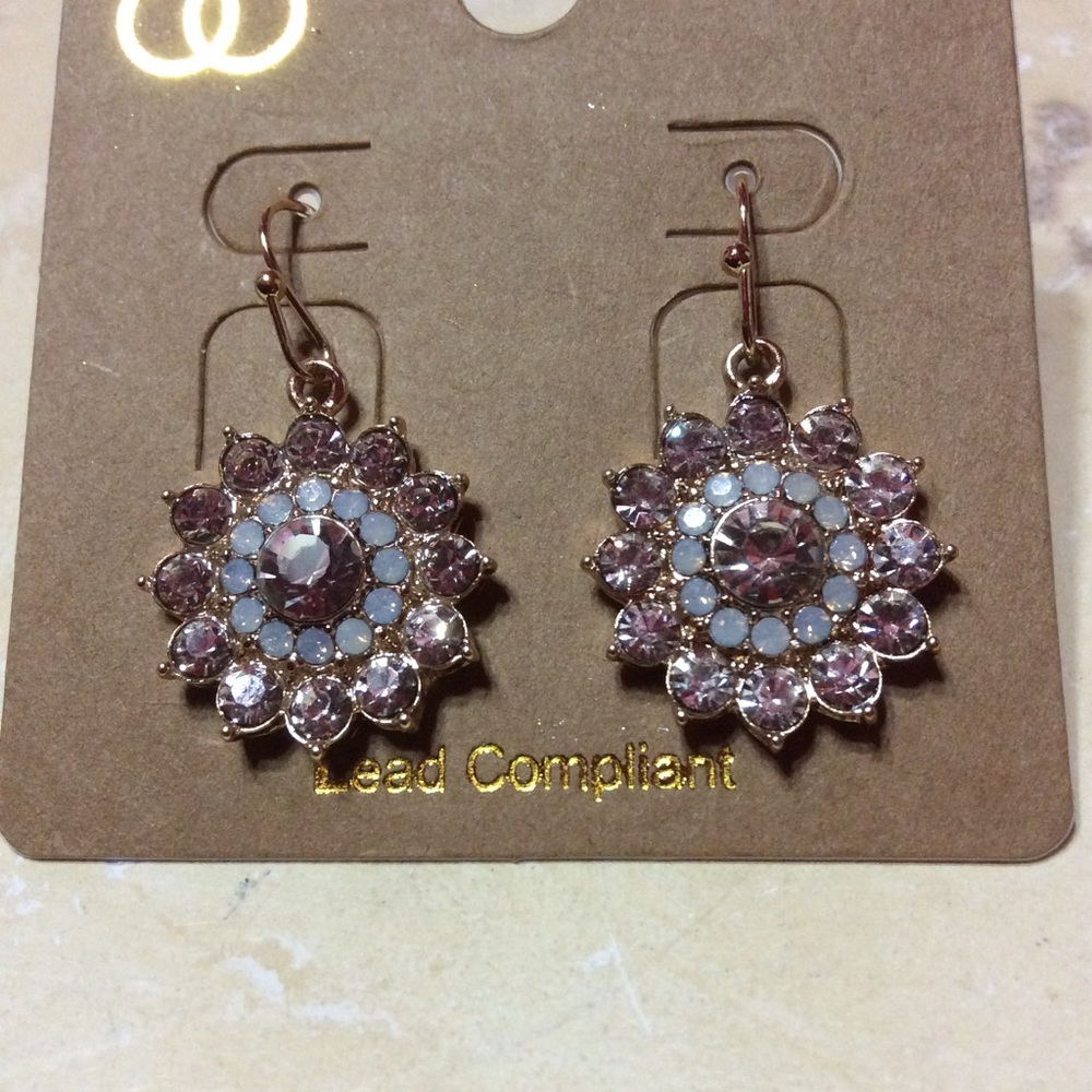 Hanging Earrings